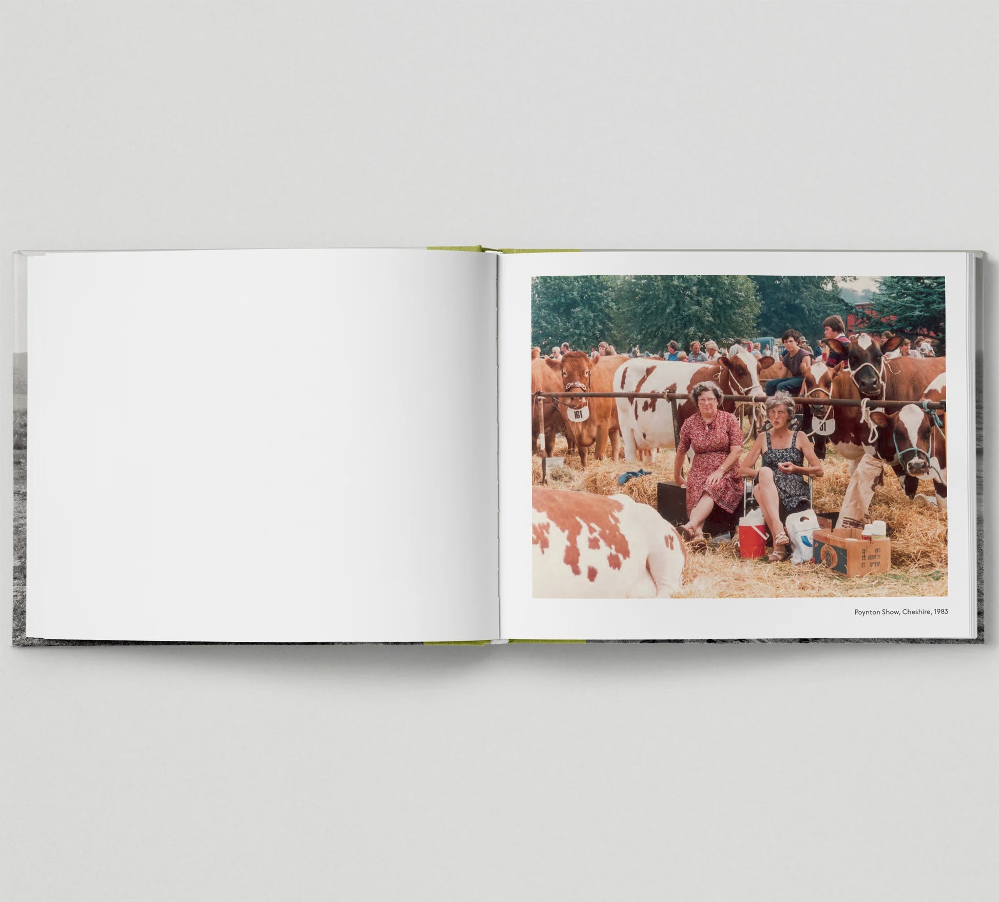 A Very British Picnic - THE BRISTOL ARTISAN