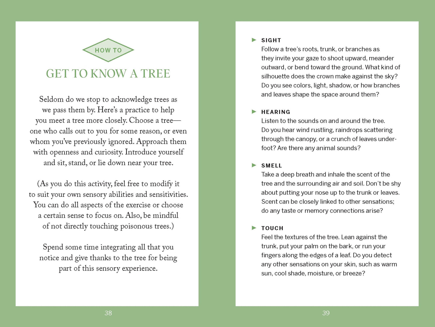 Pocket Nature: Tree Hugging