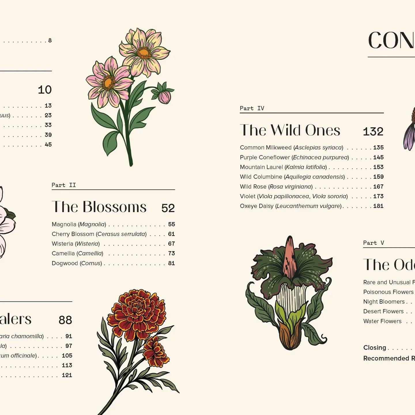 Floraphile’s Amanac - An Illustrated Miscellany