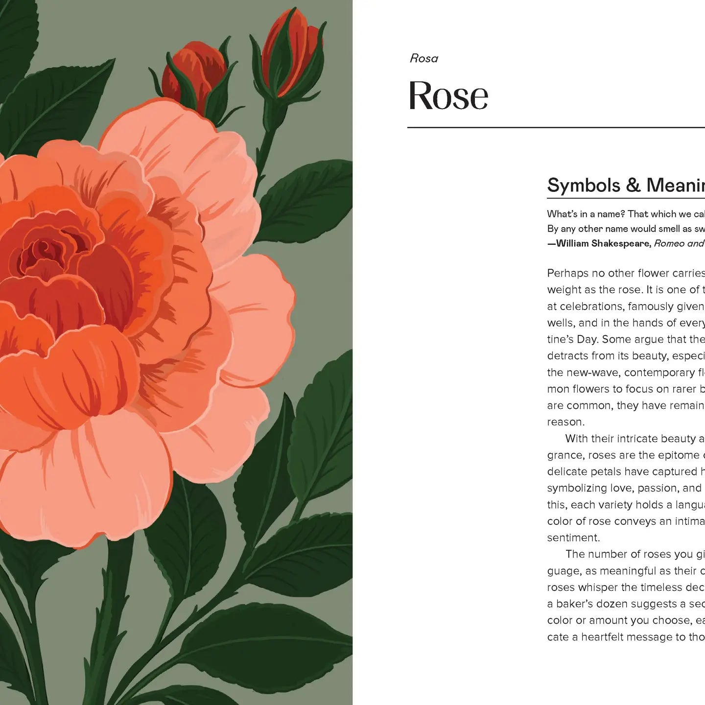 Floraphile’s Amanac - An Illustrated Miscellany