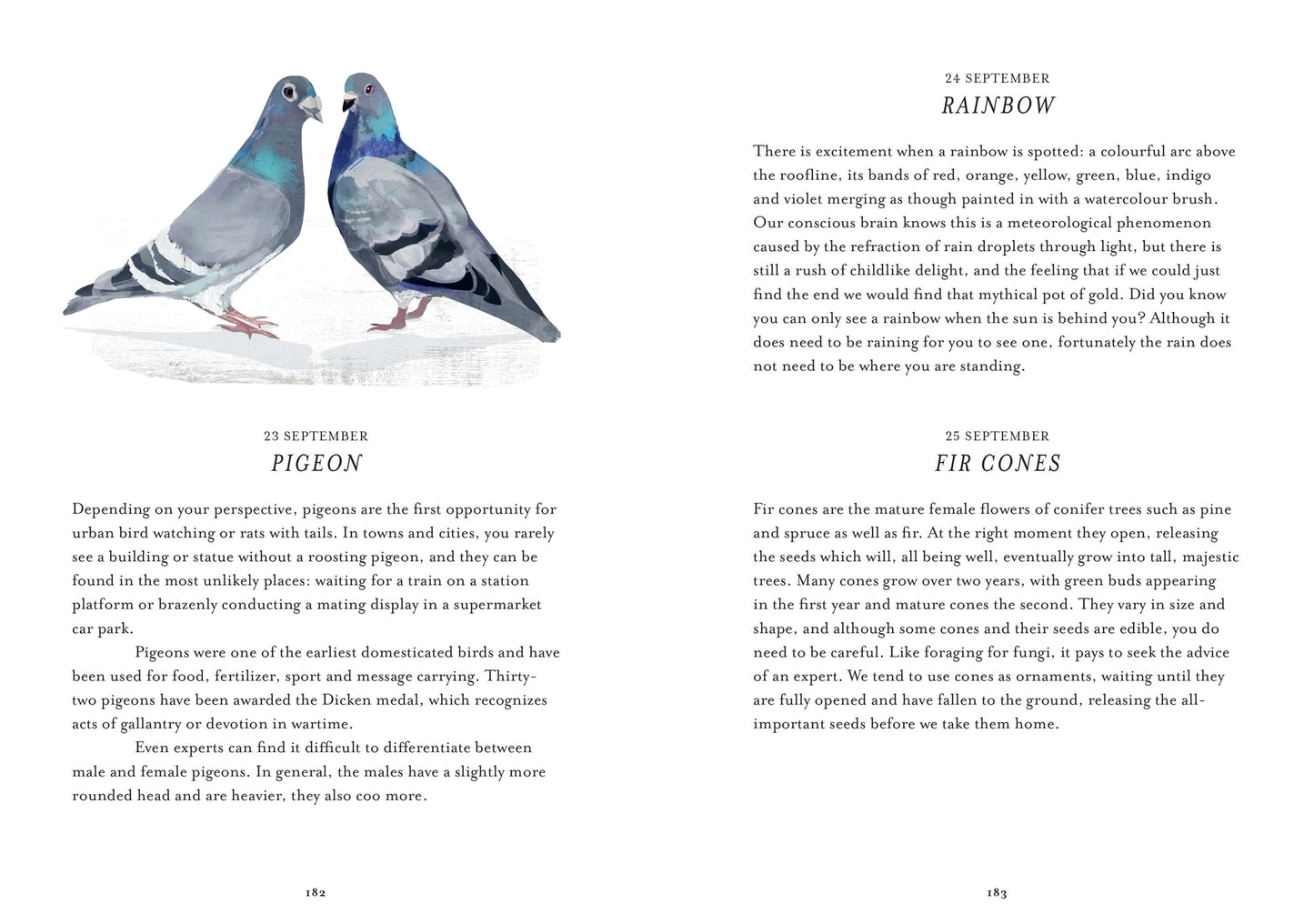 Urban Nature Everyday - Discover the Natural World on your Doorstep
