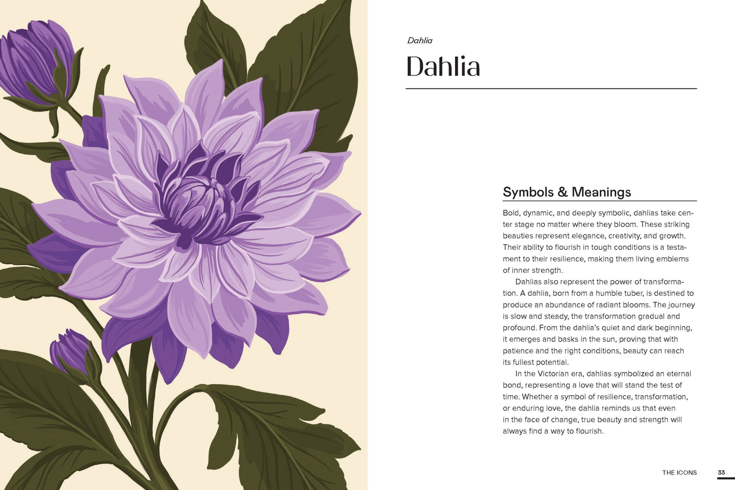 Floraphile’s Amanac - An Illustrated Miscellany