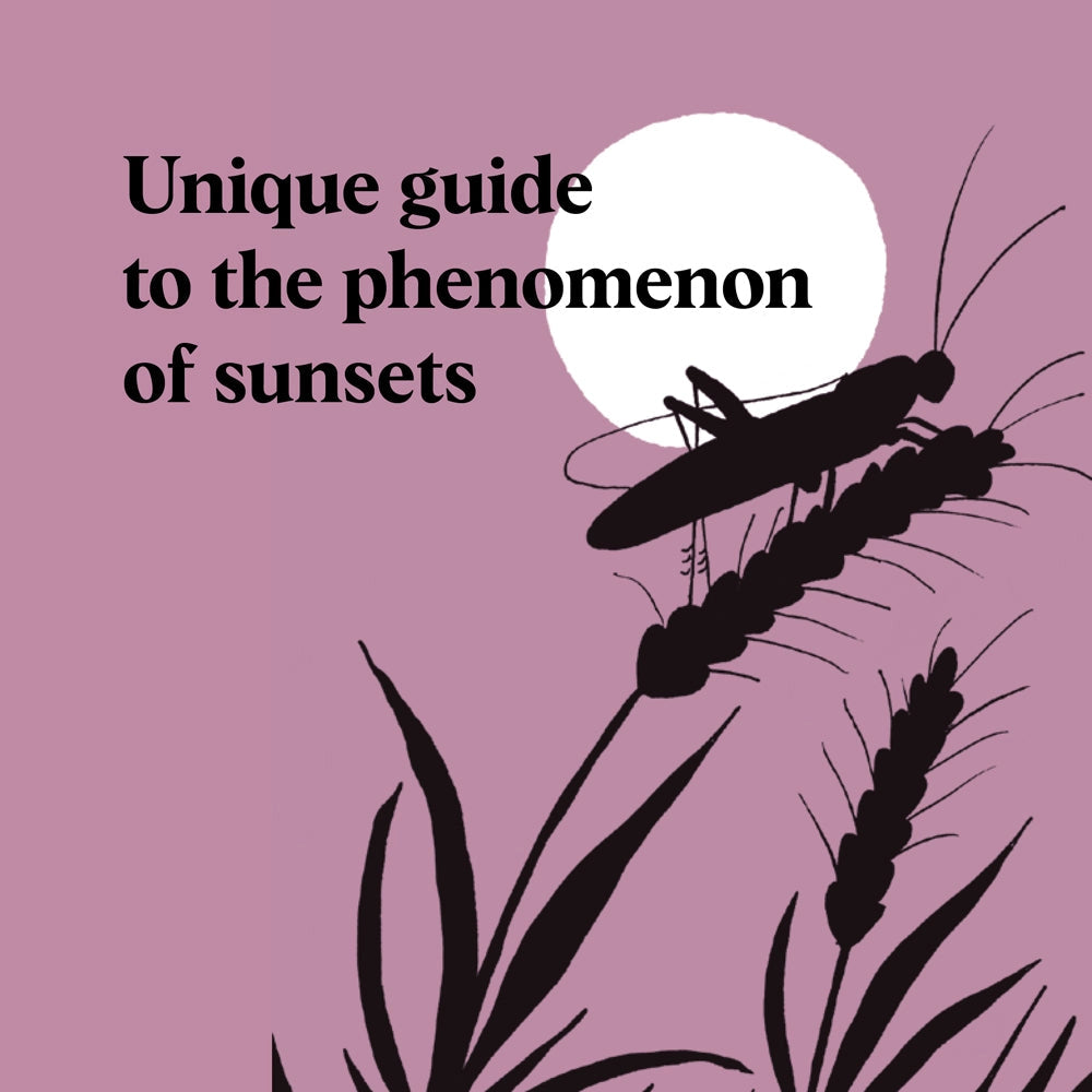 Sunset Seeking - Find Inspiration in the Beauty of the Sun's Cycle (Hardback)