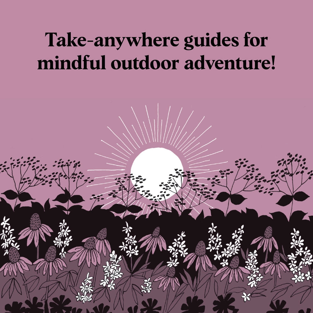 Sunset Seeking - Find Inspiration in the Beauty of the Sun's Cycle (Hardback)