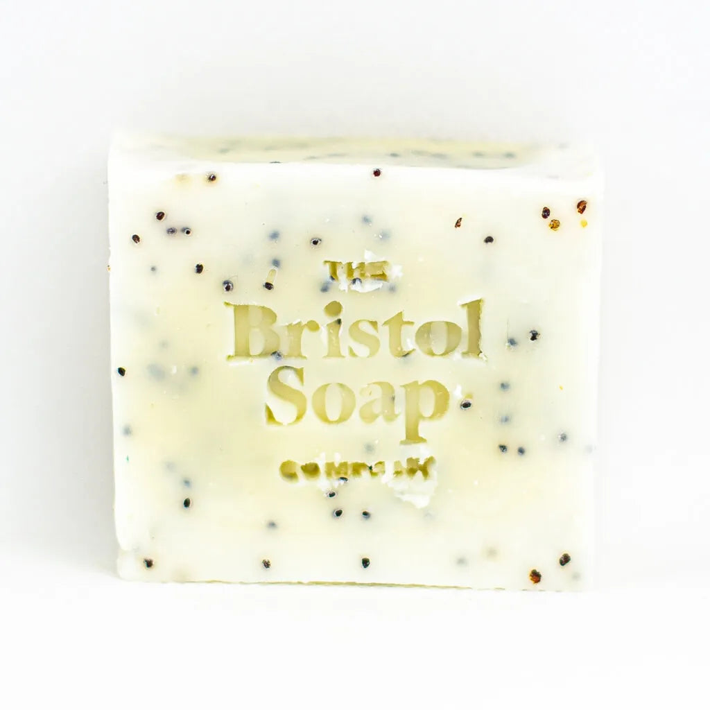 THE BRISTOL ARTISAN
