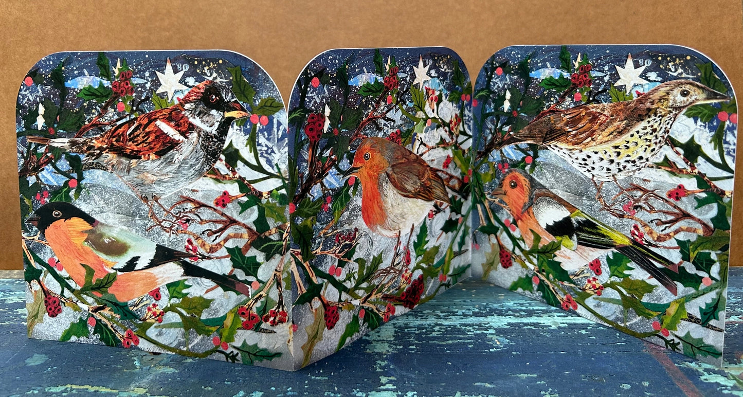 Winter Birds Fold Out Concertina Greeting Card