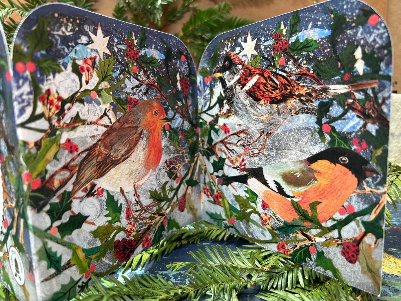 Winter Birds Fold Out Concertina Greeting Card