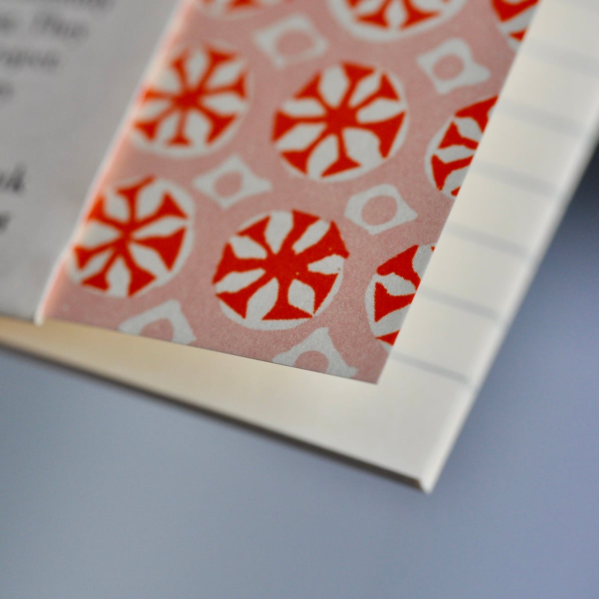 Exercise Book (Lined) - Sea Urchin Neon