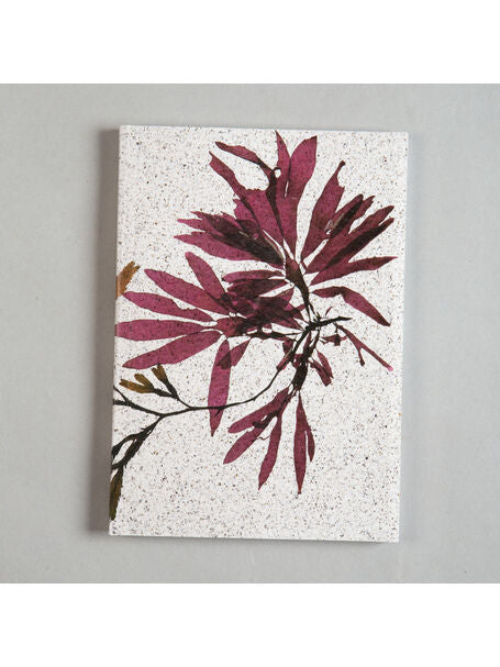 Seaweed Print A5 Notebook - Dulse & Serrated Wrack - unlined - THE BRISTOL ARTISAN
