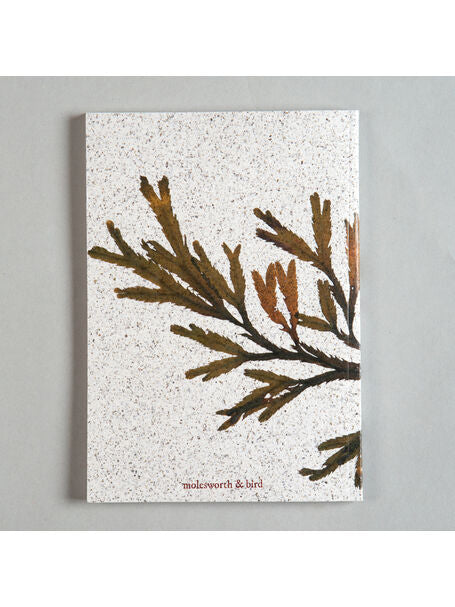 Seaweed Print A5 Notebook - Dulse & Serrated Wrack - unlined - THE BRISTOL ARTISAN