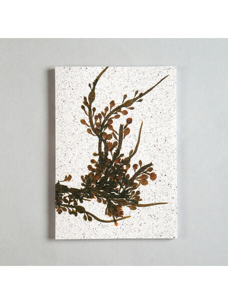 Seaweed Print A5 Notebook - Egg Wrack - unlined - THE BRISTOL ARTISAN