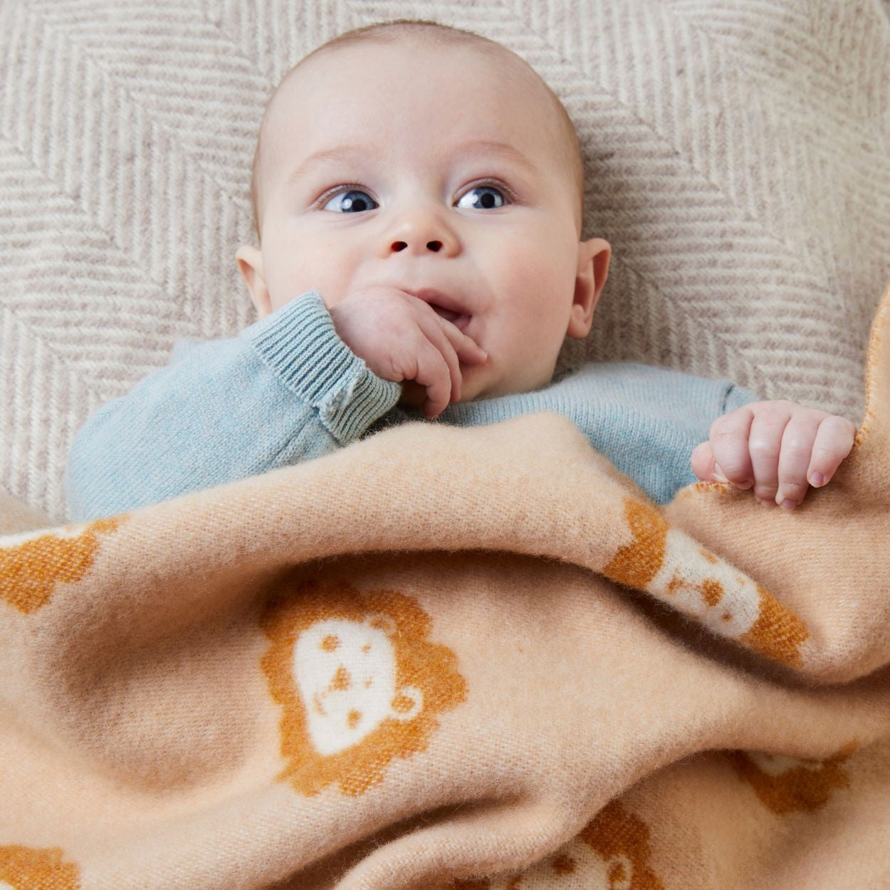 Super Soft Merino Wool Baby Pram Blanket - Lion - THE BRISTOL ARTISAN