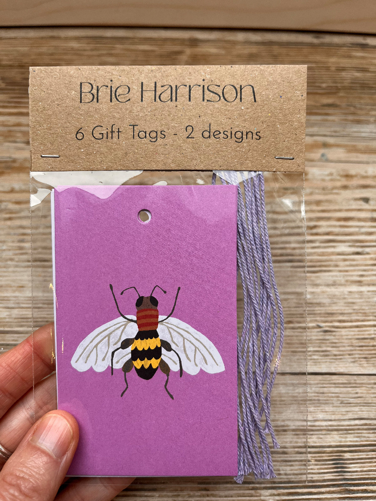 Insect Gift Tags - Pack of 6 - THE BRISTOL ARTISAN