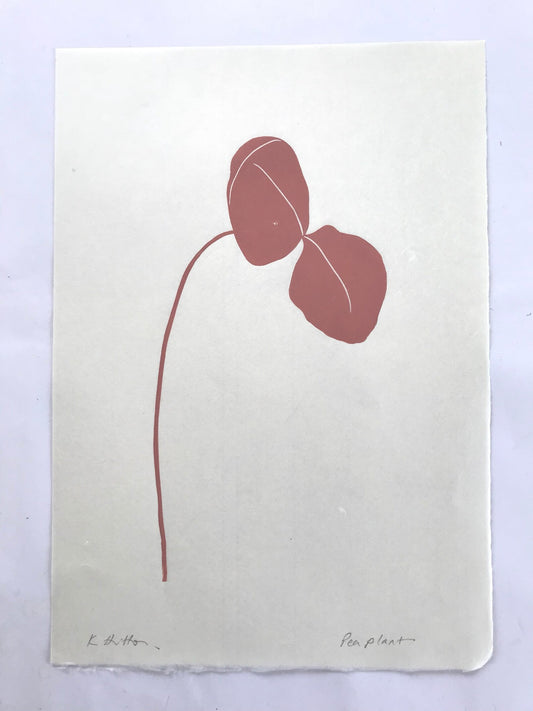 Kathy Hutton Lino Print - Peashoot - THE BRISTOL ARTISAN