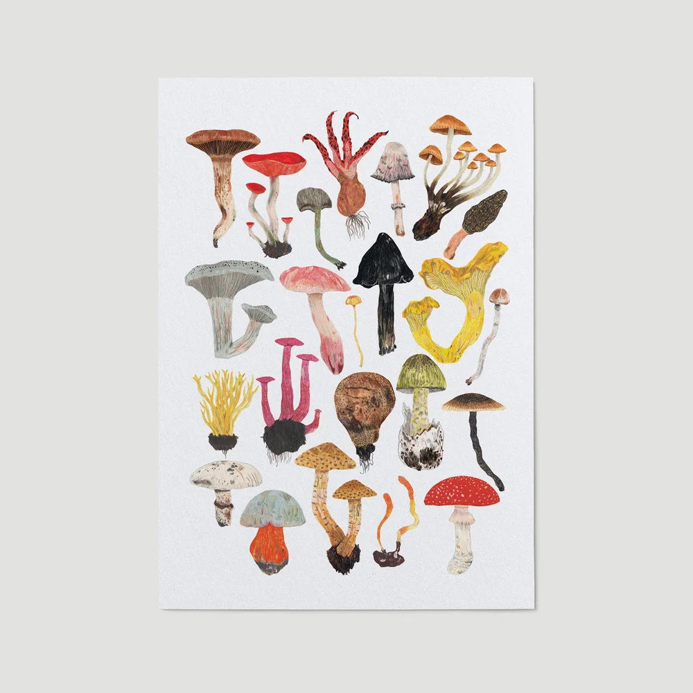 Mushroom and Toadstool A4 Print by James Barker - THE BRISTOL ARTISAN