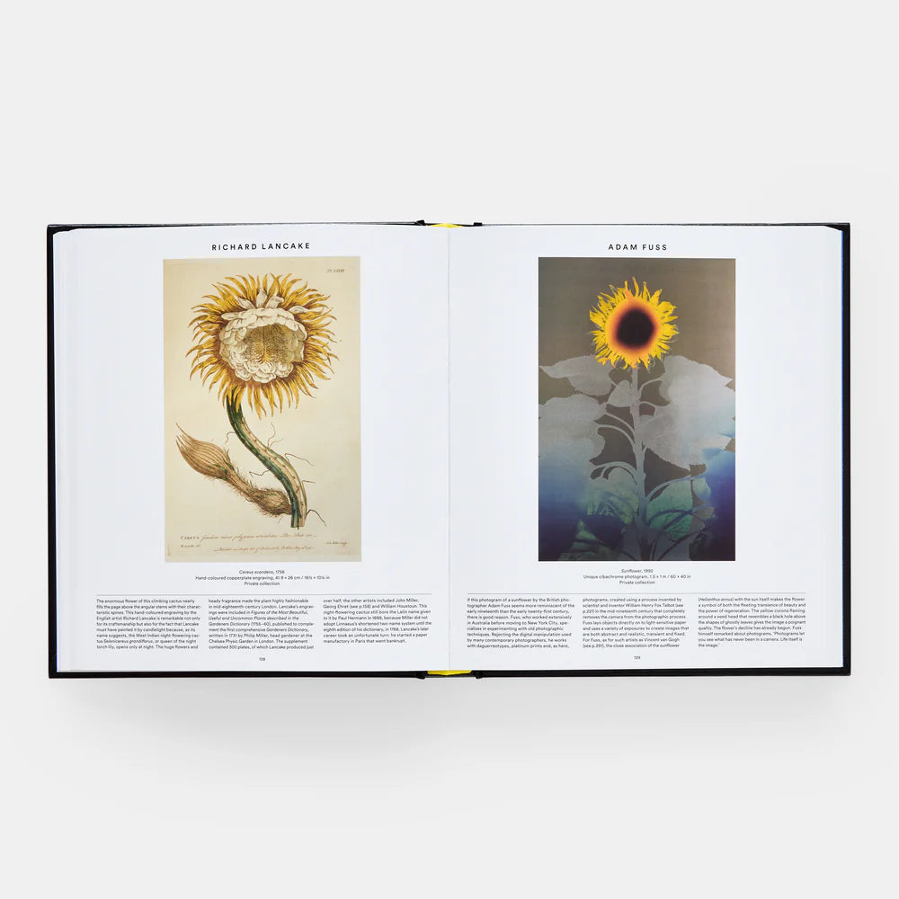 Plant: Exploring the Botanical Wold - THE BRISTOL ARTISAN