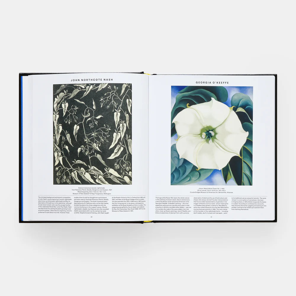 Plant: Exploring the Botanical Wold - THE BRISTOL ARTISAN