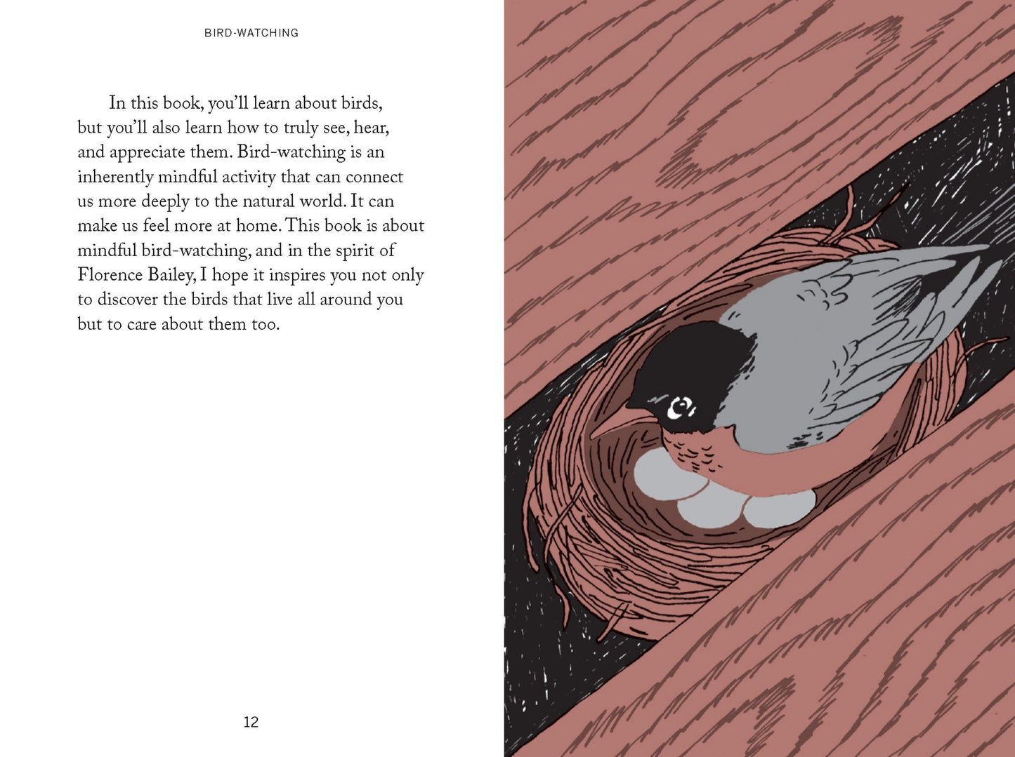 Pocket Nature: Bird Watching - THE BRISTOL ARTISAN