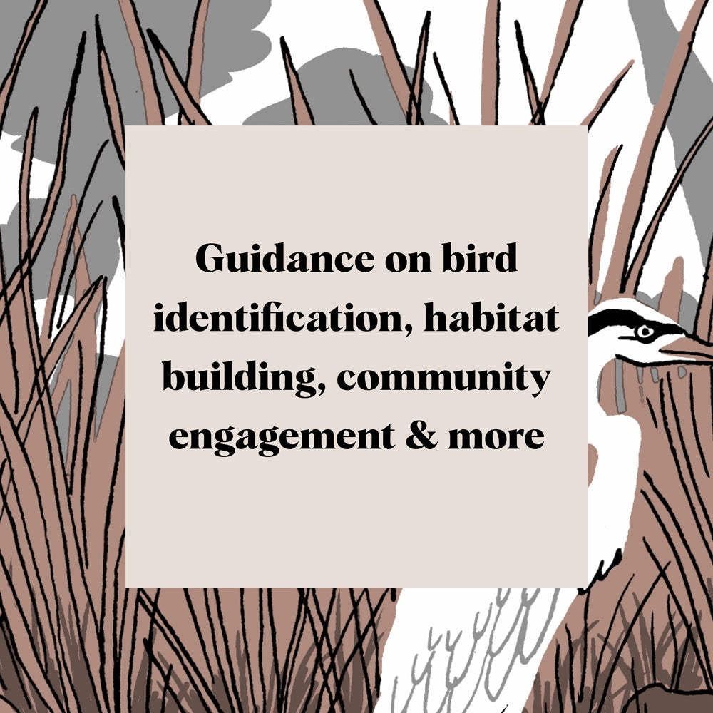 Pocket Nature: Bird Watching - THE BRISTOL ARTISAN