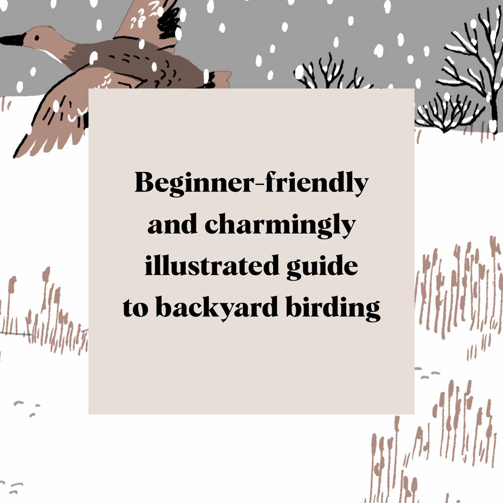 Pocket Nature: Bird Watching - THE BRISTOL ARTISAN