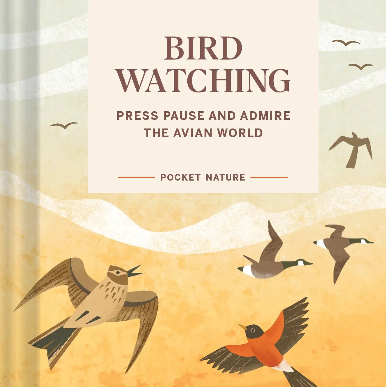 Pocket Nature: Bird Watching - THE BRISTOL ARTISAN