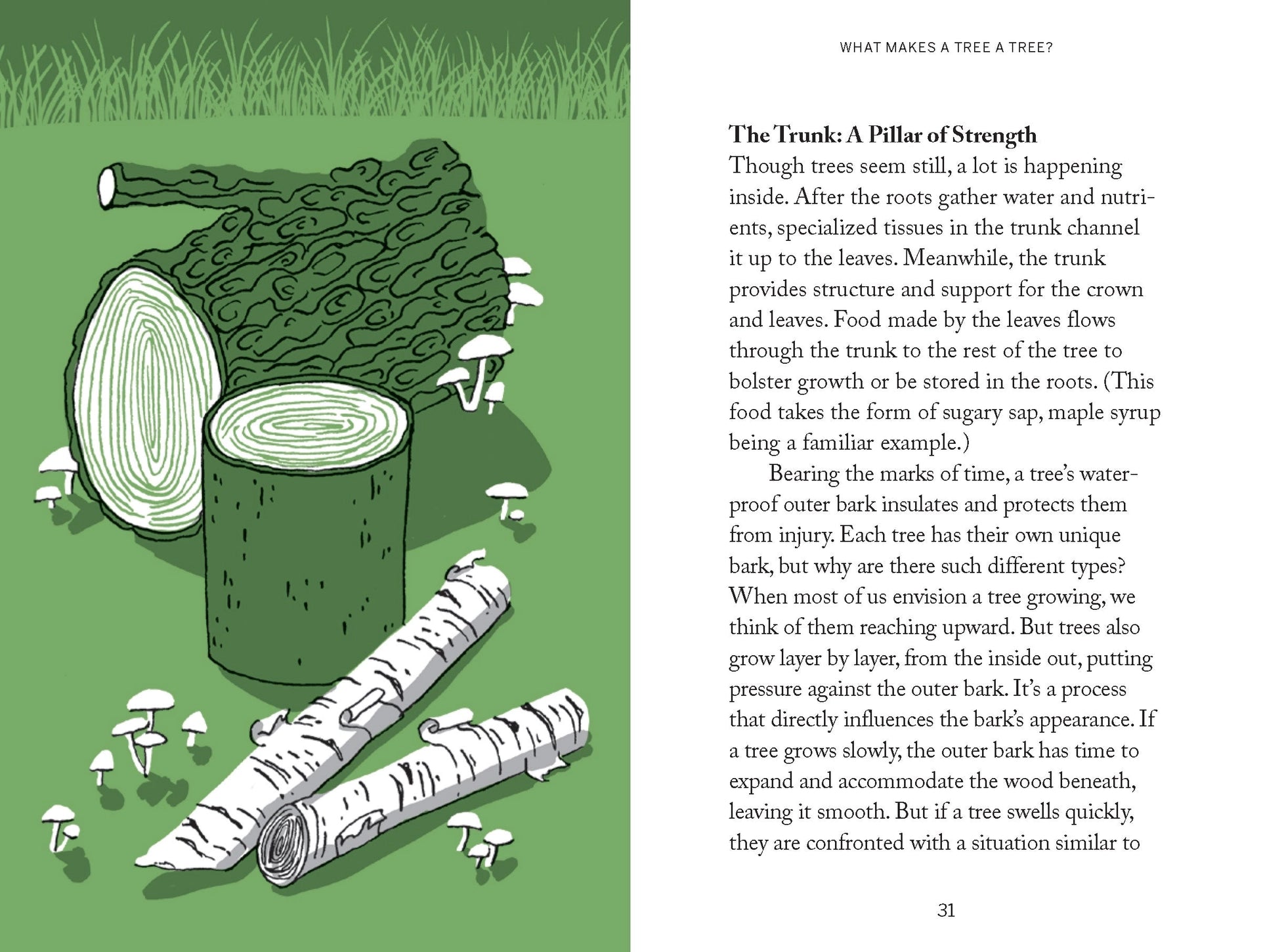 Pocket Nature: Tree Hugging - THE BRISTOL ARTISAN