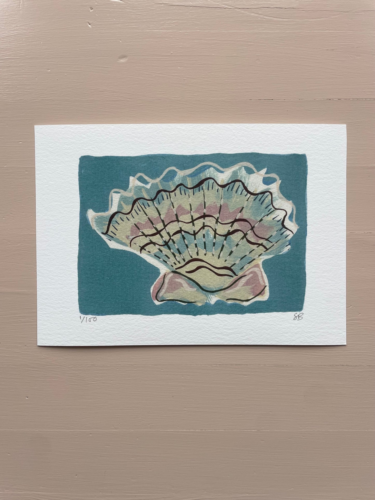 Shell No.62 limited edition print by Sian Beck