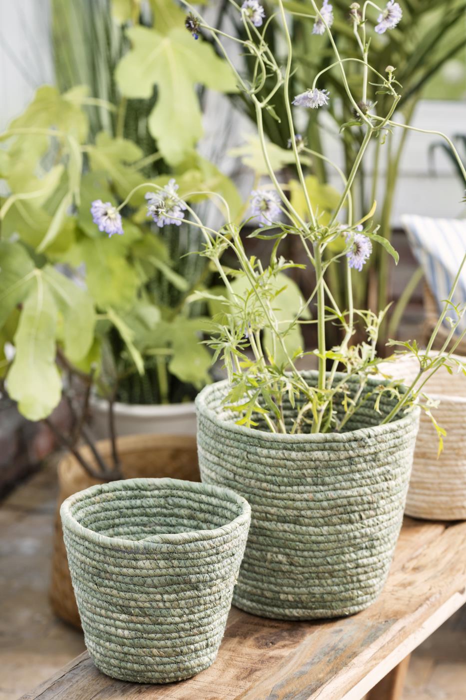 Plant Pot storage basket - Green - THE BRISTOL ARTISAN