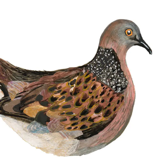 Turtledove Birch Plywood Decoration - THE BRISTOL ARTISAN