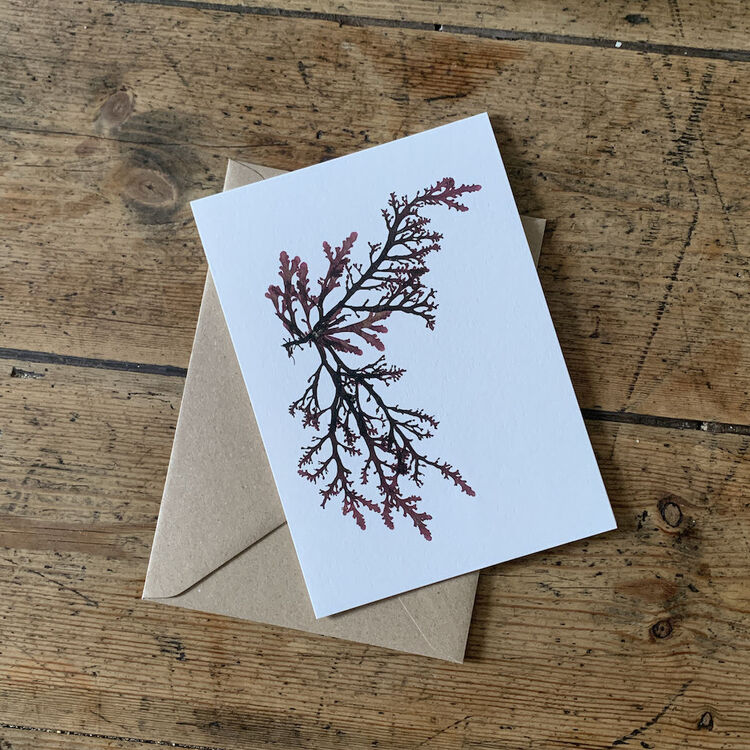 Hand pressed Royal Fern Weed card - THE BRISTOL ARTISAN