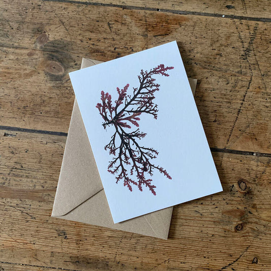 Hand pressed Royal Fern Weed card - The Bristol Artisan Handmade Sustainable Gifts and Homewares.