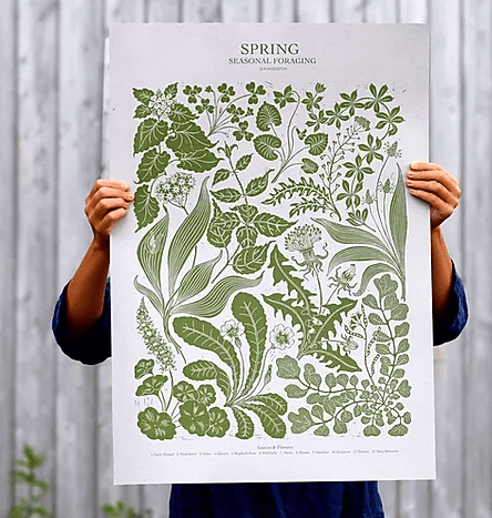 Spring foraging print - The Bristol Artisan Handmade Sustainable Gifts and Homewares.