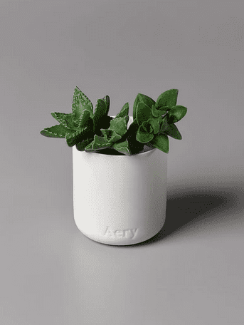 Nordic Cedar Scented Plant Based Wax Candle In A Reusable Clay Pot - The Bristol Artisan Handmade Sustainable Gifts and Homewares.