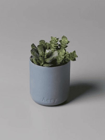 Japanese Garden Scented Plant Based Wax Candle in A Reusable clay pot - THE BRISTOL ARTISAN
