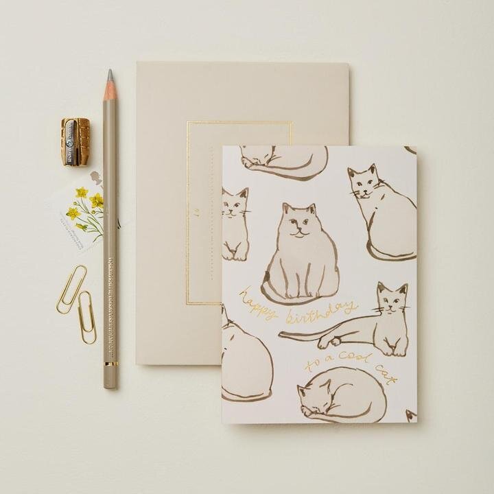 'Happy birthday to a Cool Cat' card - THE BRISTOL ARTISAN