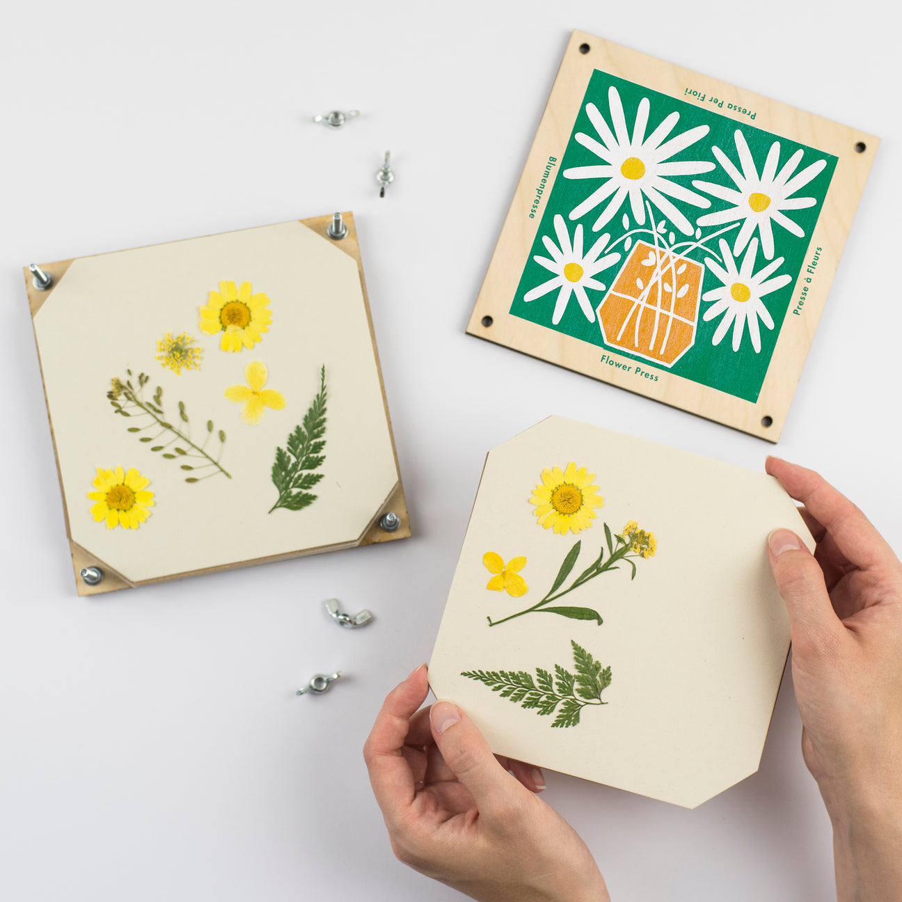 Flower Press - Daisy - The Bristol Artisan Handmade Sustainable Gifts and Homewares.