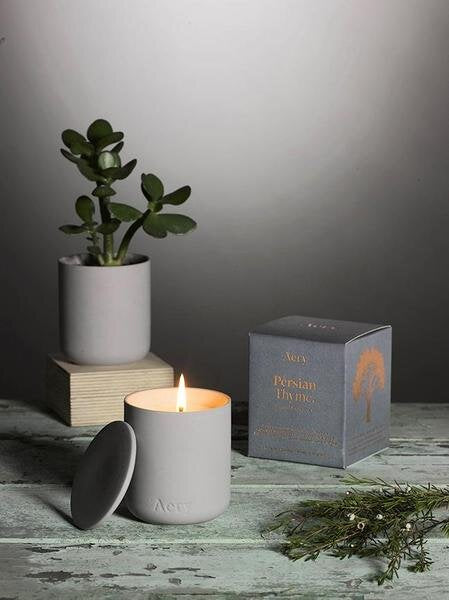 Persian Thyme Scented Plant Based Wax candle In A Reusable Clay Pot - THE BRISTOL ARTISAN