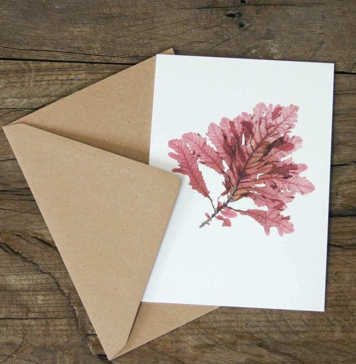 Hand pressed Sea Oak card - The Bristol Artisan Handmade Sustainable Gifts and Homewares.
