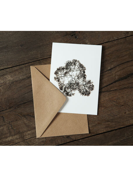 Hand pressed Siphon Weed card - The Bristol Artisan Handmade Sustainable Gifts and Homewares.
